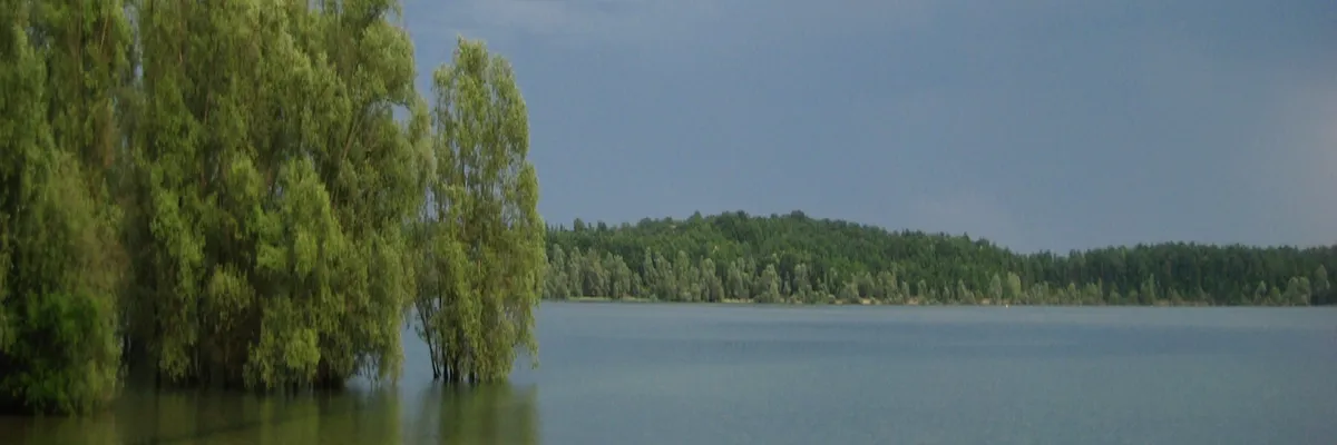 image-rencontre-femme-noire-aube.webp Image Rencontre femme noire Aube