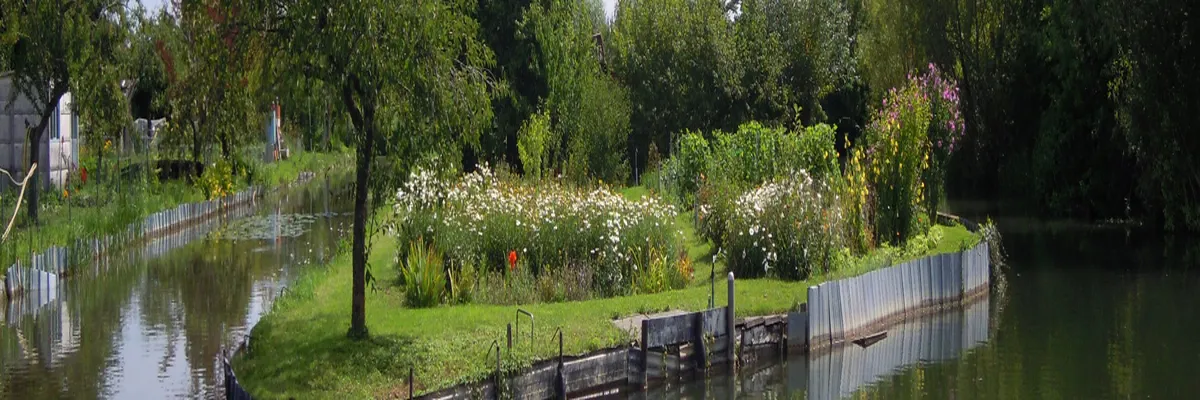 image-rencontre-femme-noire-cher.webp Image Rencontre femme noire Cher