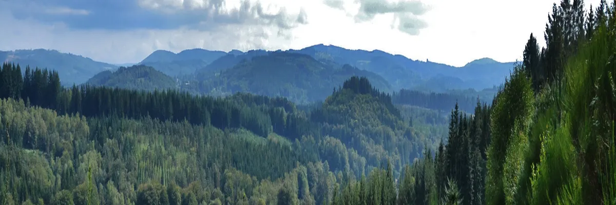 image-rencontre-femme-noire-haute-vienne.webp Image Rencontre femme noire Haute-Vienne