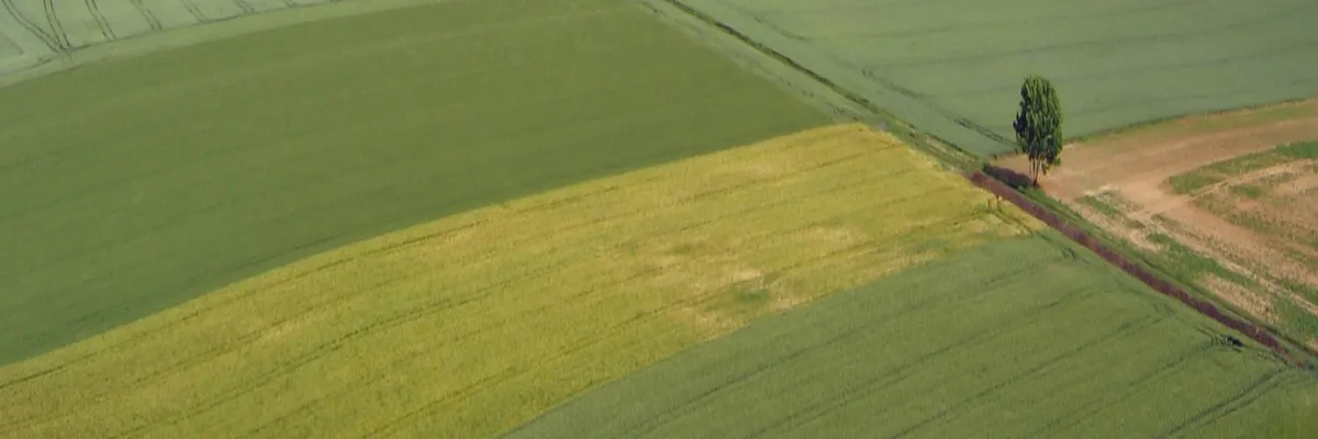 image-rencontre-femme-noire-hauts-de-france.webp Image Rencontre femme noire Hauts-de-France