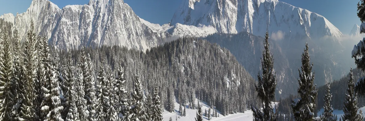 image-rencontre-femme-noire-isere.webp Image Rencontre femme noire Isère