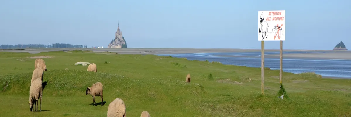 image-rencontre-femme-noire-manche.webp Image Rencontre femme noire Manche