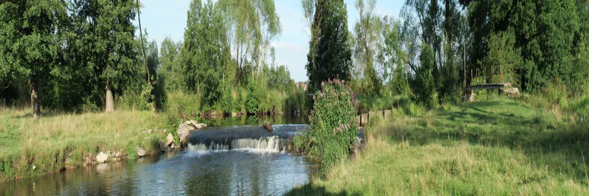 image-rencontre-femme-noire-meurthe-et-moselle.webp Image Rencontre femme noire Meurthe-et-Moselle