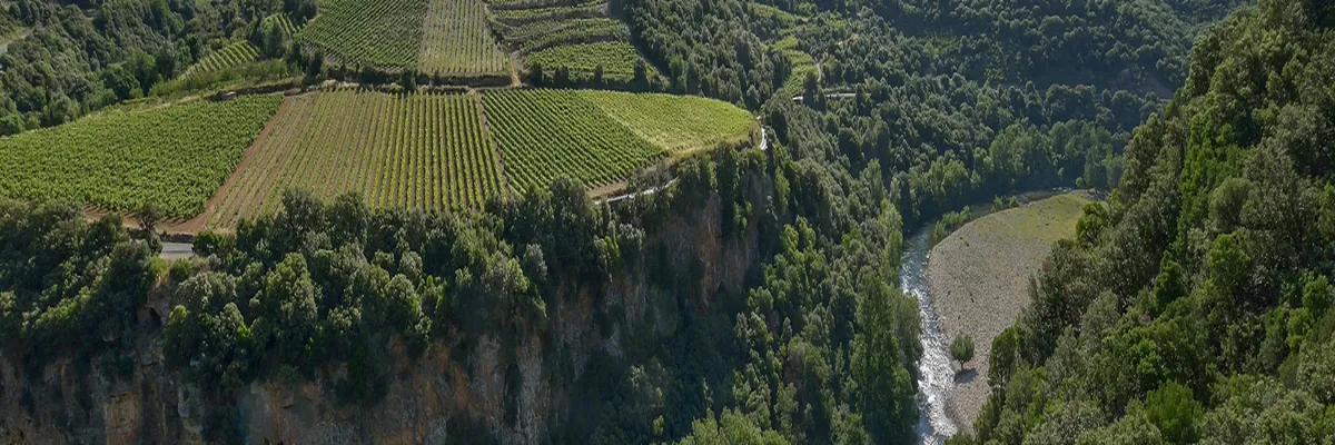 image-rencontre-femme-noire-occitanie.webp Image Rencontre femme noire Occitanie