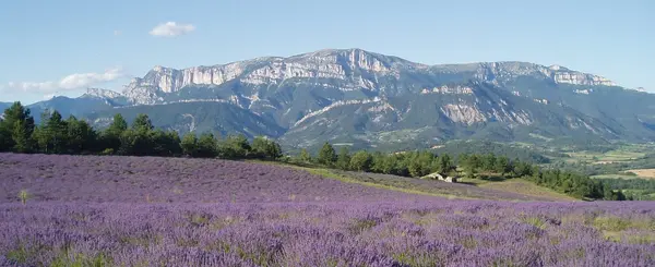 Rencontre Femme Noire Rencontre femme noire Drôme