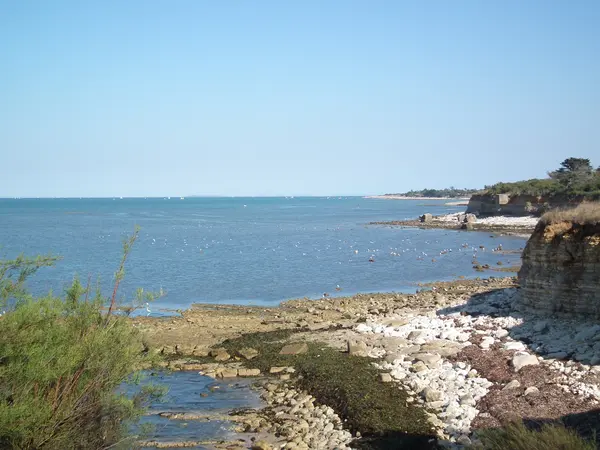 Rencontre Femme Noire Rencontre femme noire Nouvelle-Aquitaine