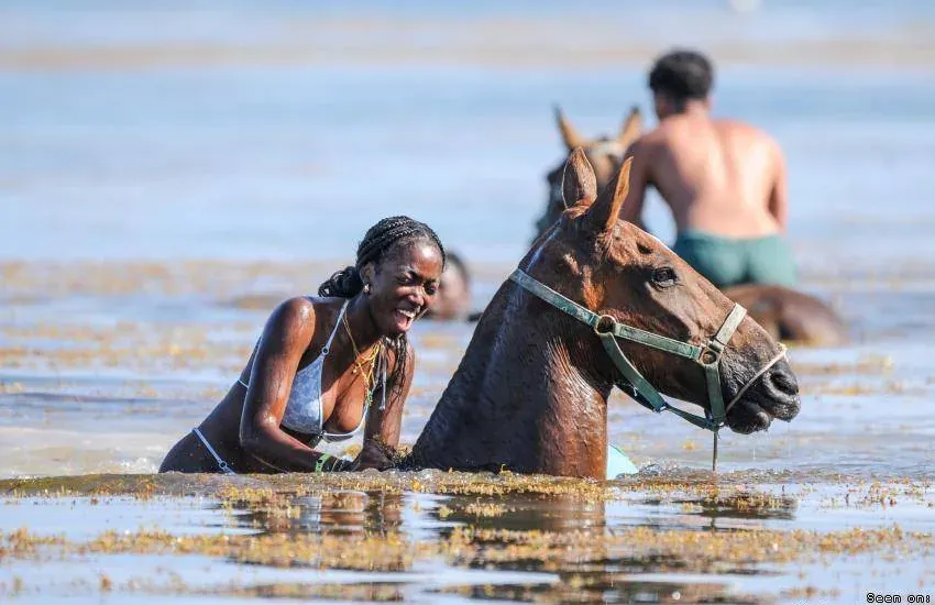 王芳_Courcouronnes Courcouronnes